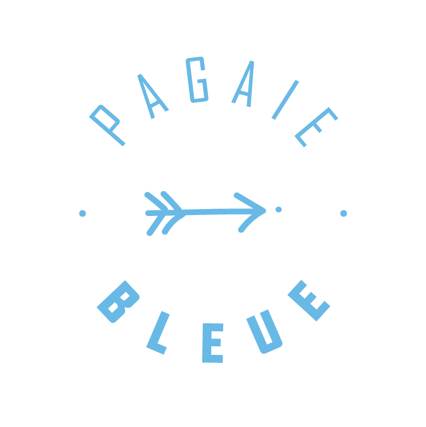 FFCK_Logo_Pagaies-CouleursSimple_Bleue_Couleurs.png