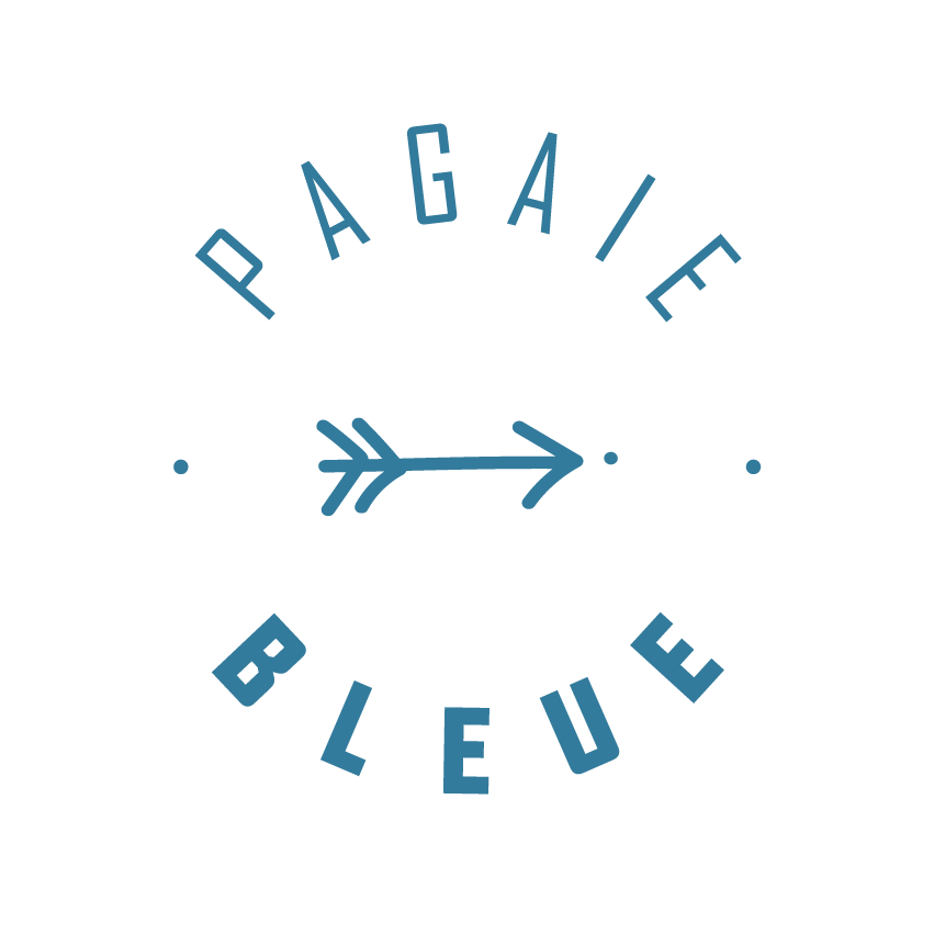 FFCK_Logo_Pagaies-CouleursSimple_Bleue_Sombre.png